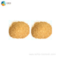 Corn gluten feed for dairy cattle